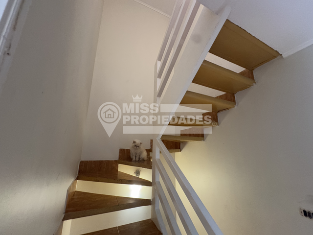 place photo 47