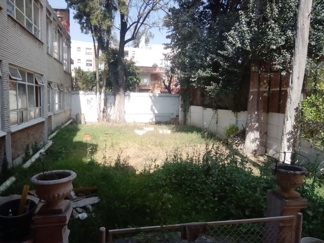 place photo 19