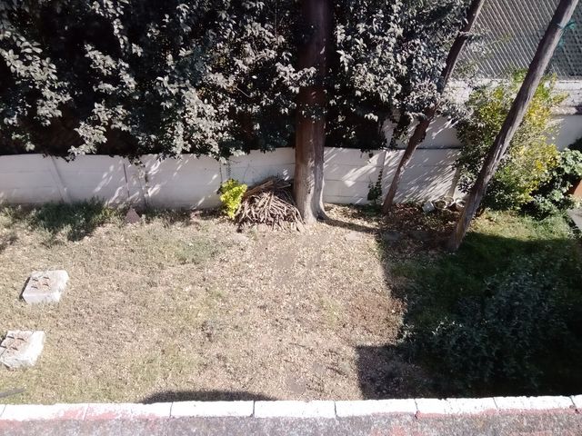 place photo 45