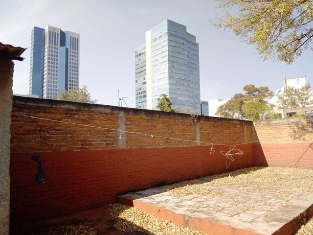 place photo 49