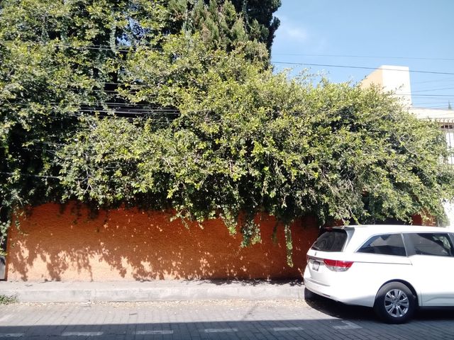 place photo 77