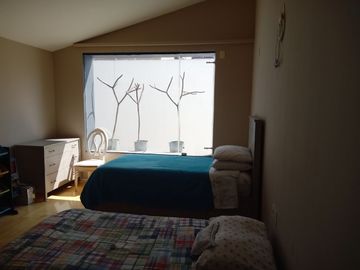 place photo 48