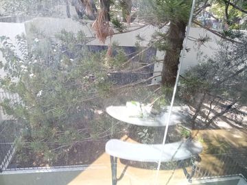 place photo 58