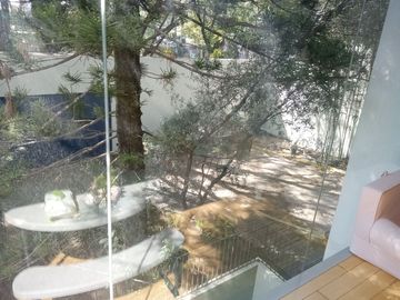 place photo 59