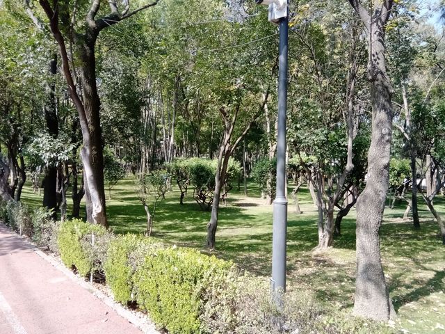 place photo 125