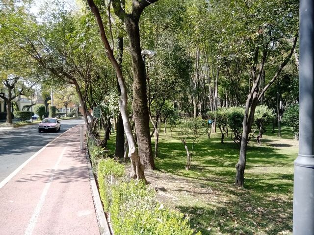 place photo 128