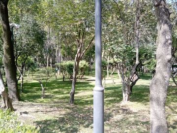 place photo 129