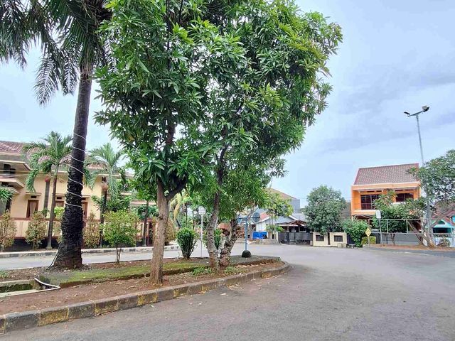 place photo 23