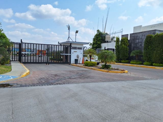 place photo 21
