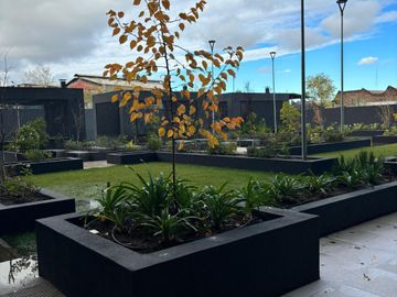 place photo 12