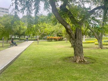 place photo 25