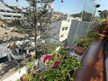 place photo 46