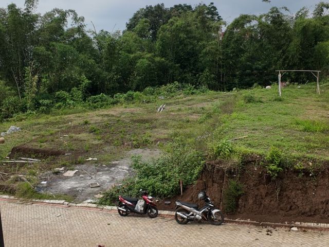 place photo 17