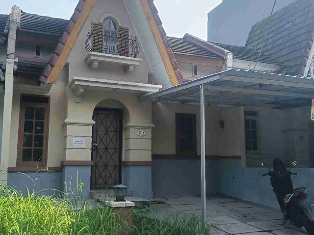 place photo 13