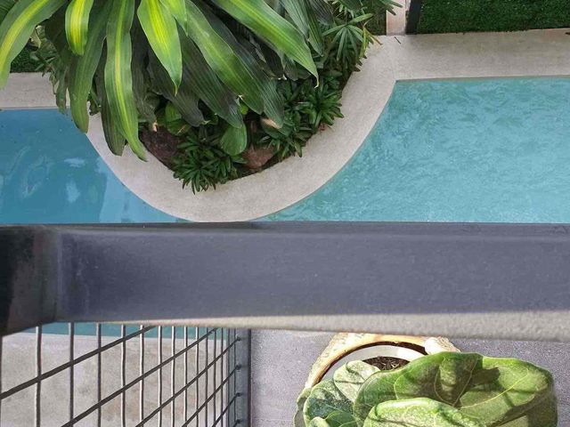 place photo 31
