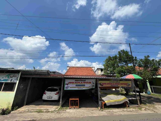 place photo 1