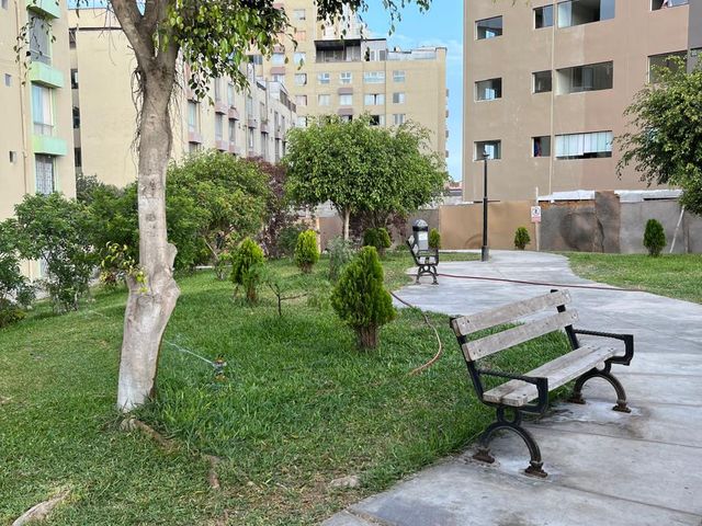 place photo 23