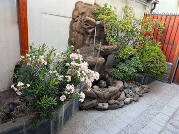 place photo 33