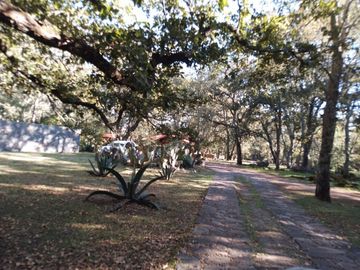 place photo 35