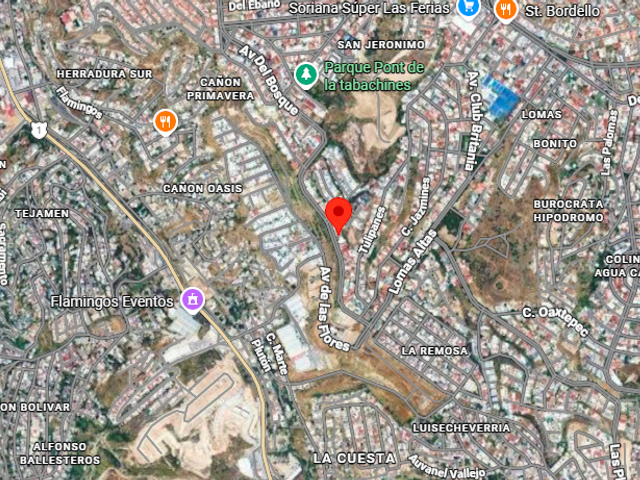 place photo 8