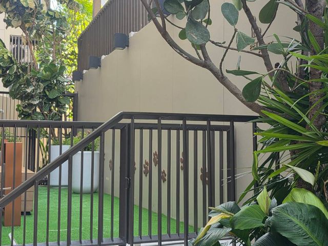 place photo 38