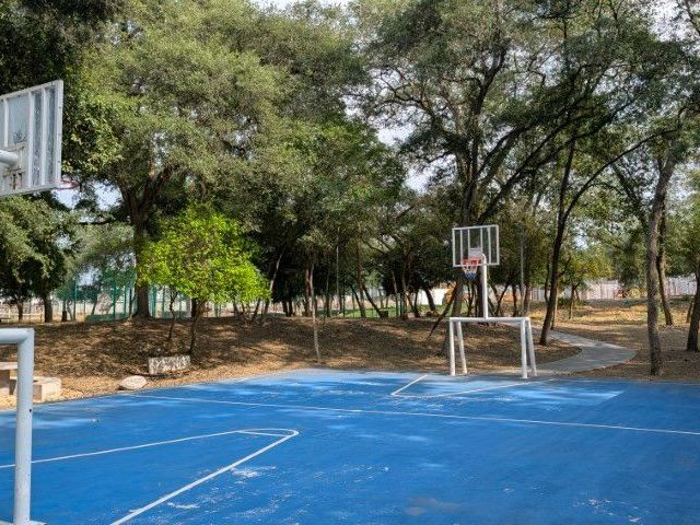 place photo 29