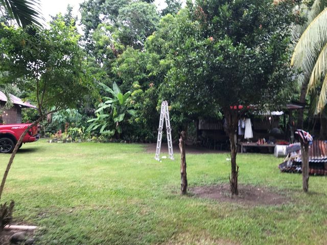 place photo 46