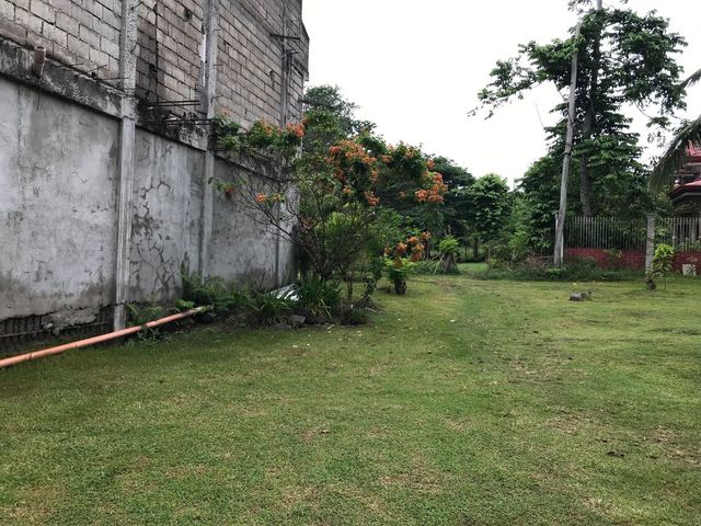 place photo 50