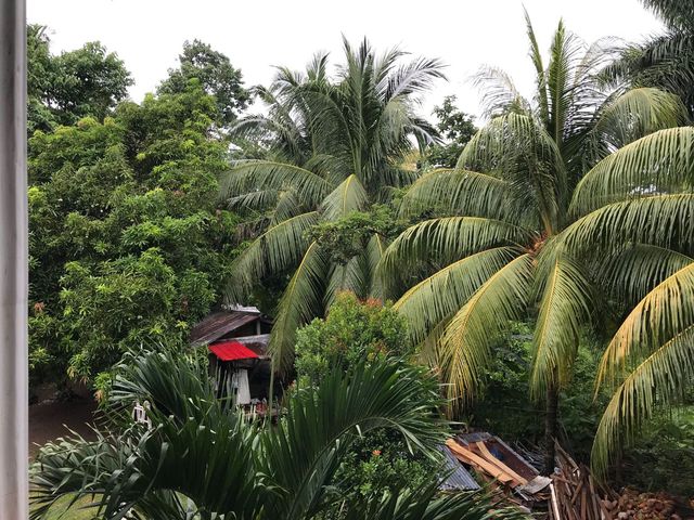 place photo 42