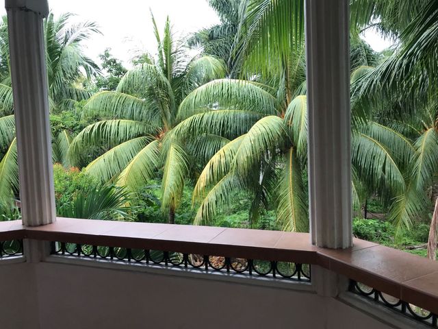 place photo 40