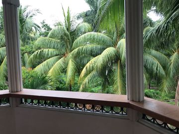 place photo 40