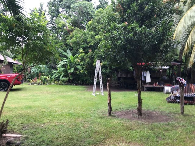 place photo 47