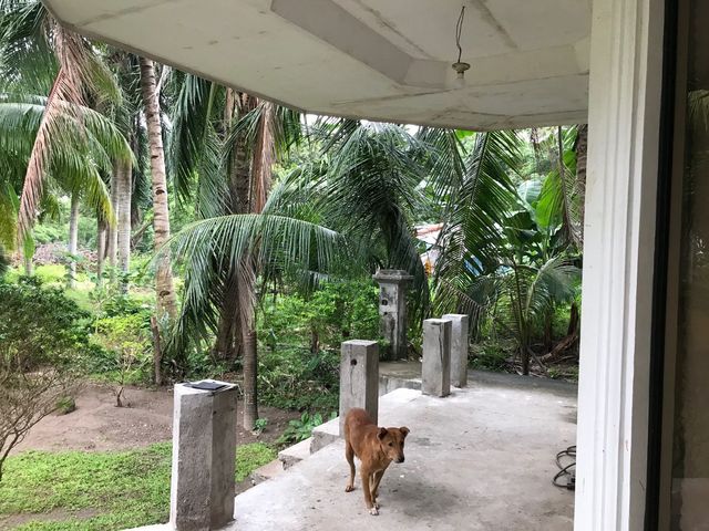 place photo 46