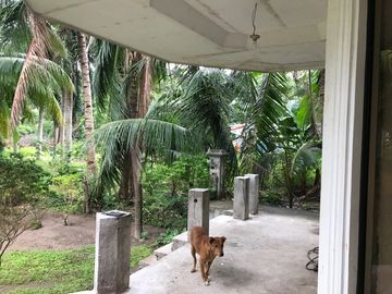 place photo 46