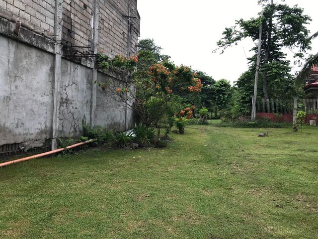 place photo 51