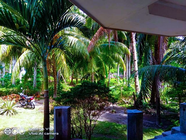 place photo 55