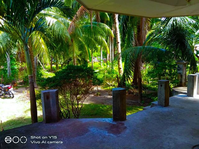place photo 56
