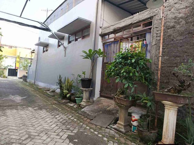 place photo 16