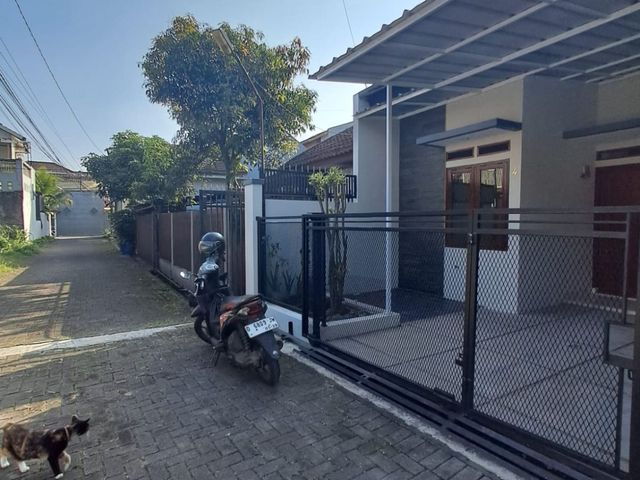 place photo 12