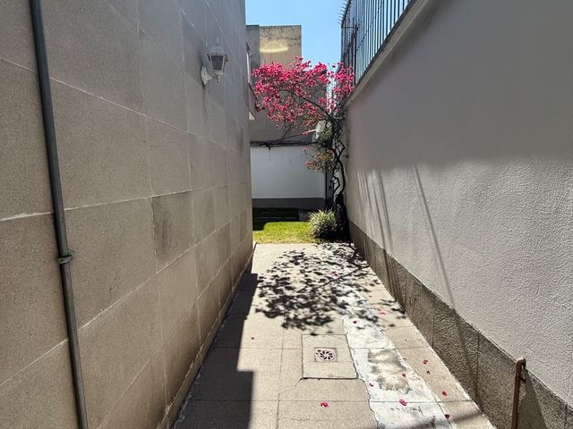 place photo 45