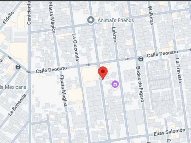 place photo 3