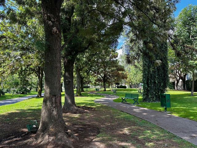 place photo 35