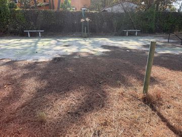 place photo 26