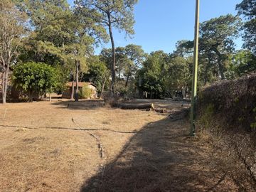 place photo 83