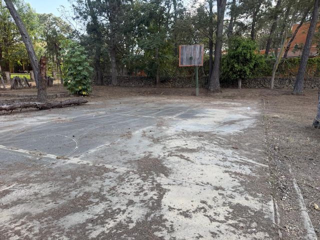 place photo 84