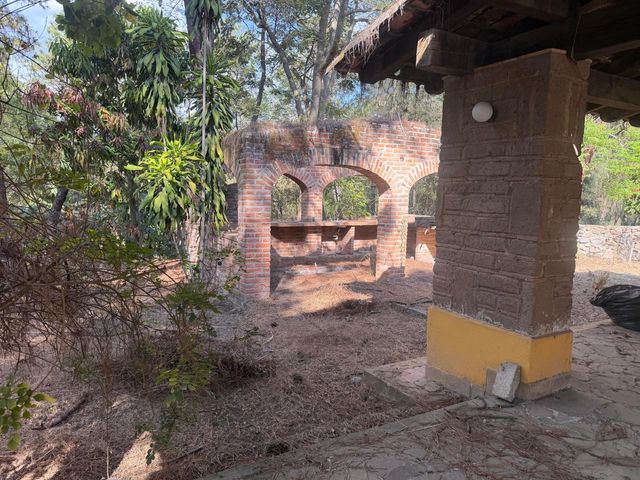 place photo 58