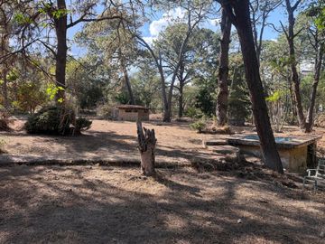 place photo 60