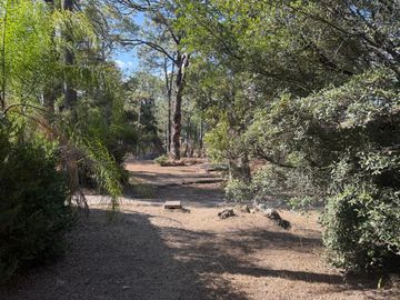 place photo 71