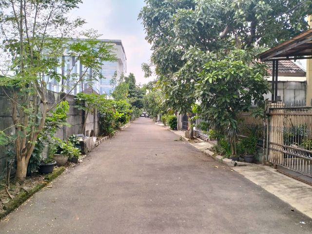 place photo 11