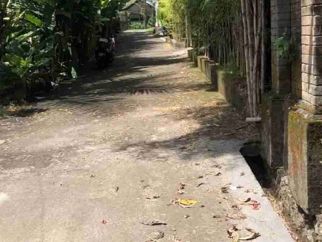 place photo 12